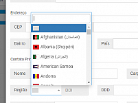 DDI na aba novo cadastro